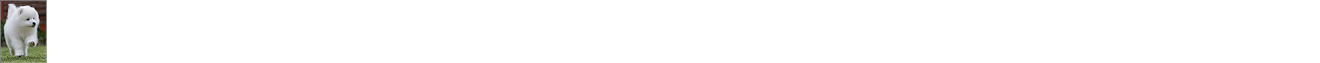 ott